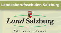 tl_files/pts-saalfelden.salzburg.at/images/content/Foerderer/linklogo_lbs.png